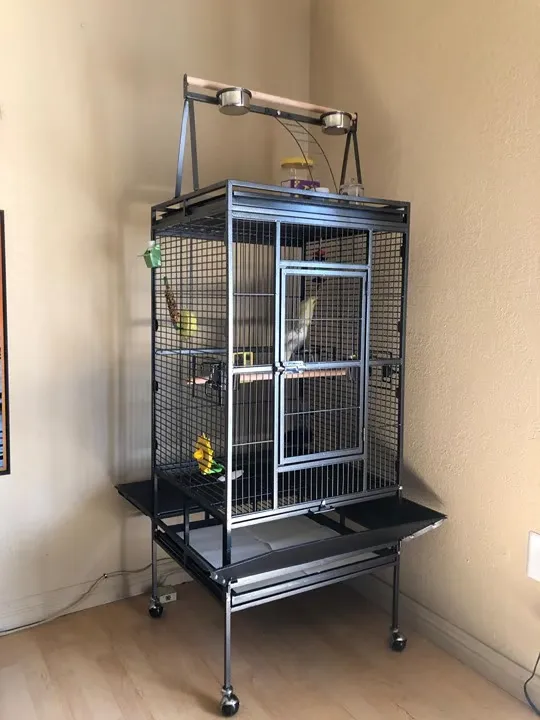 African Grey Cage