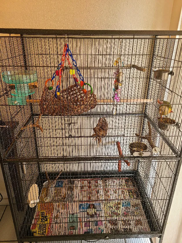 Conure Cage