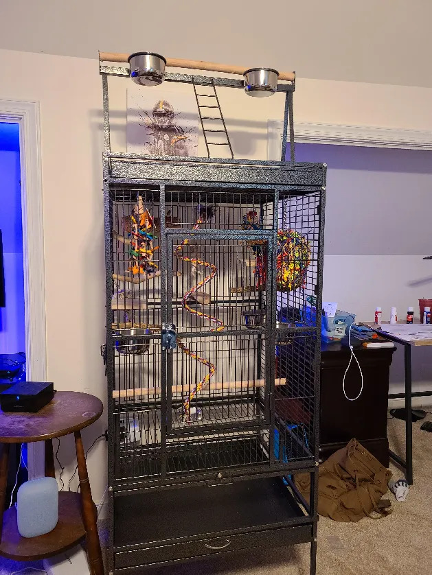 Eclectus Parrot Cage