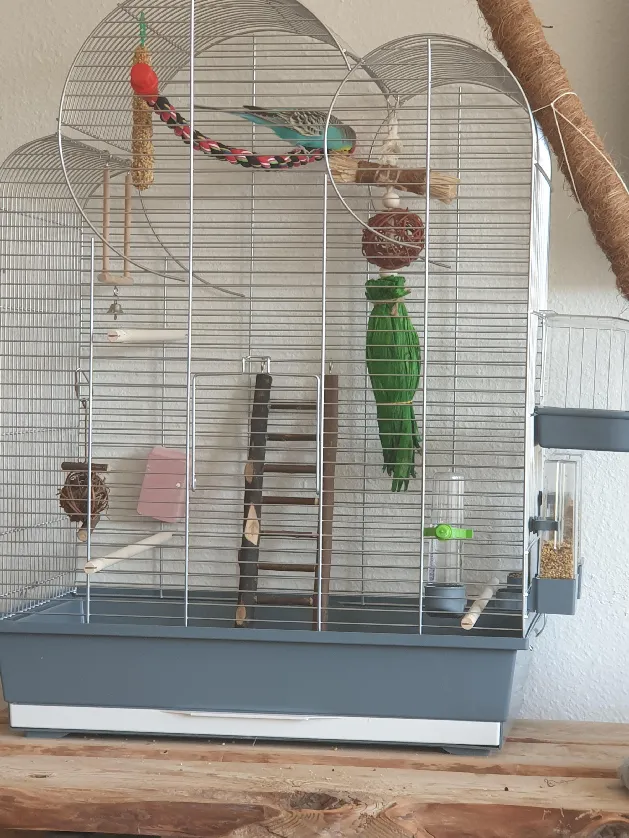 budgie cage